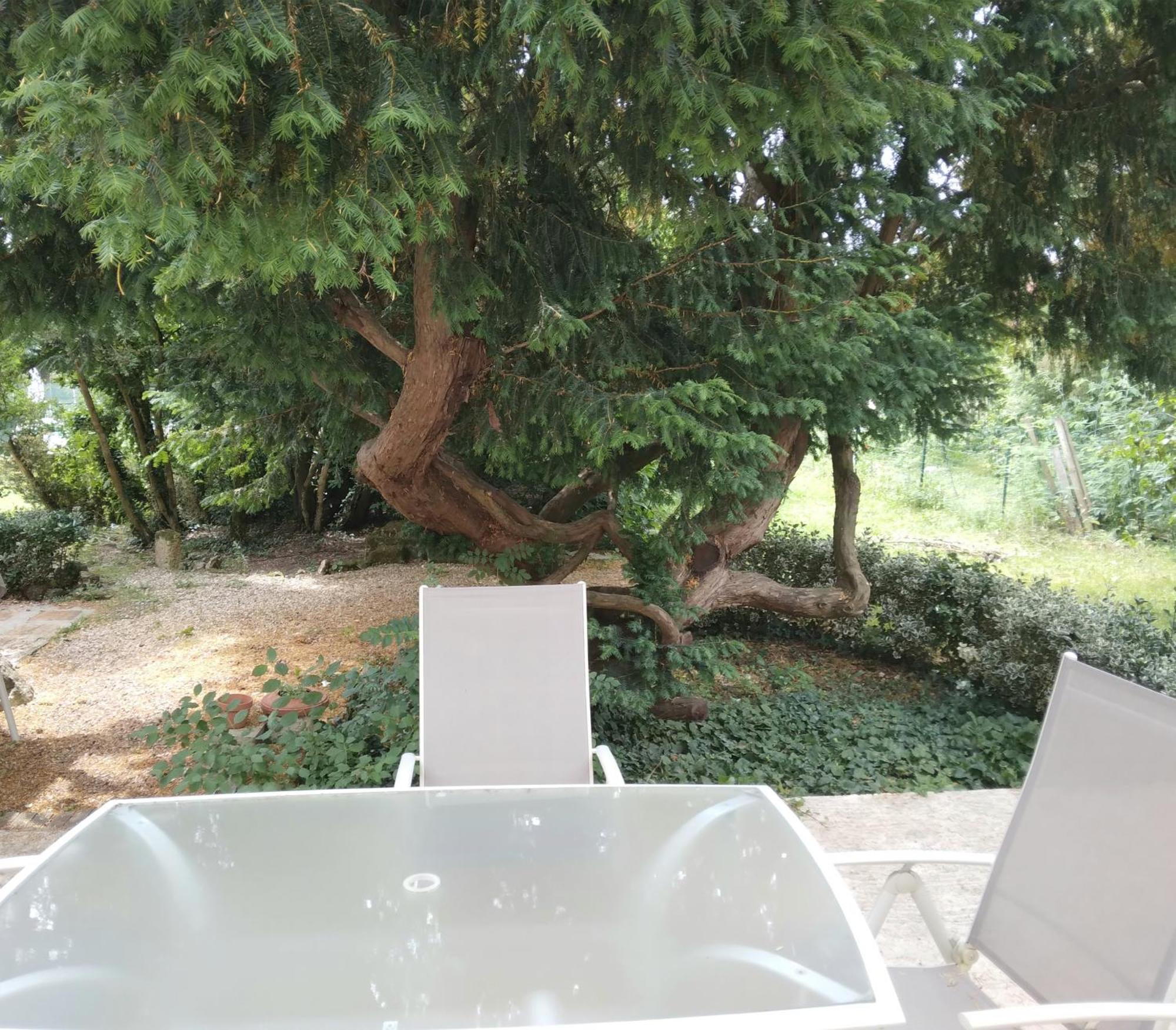 Cinegite Du Jardin Aux Etoiles - Proche De Saint Emilion Szoba fotó